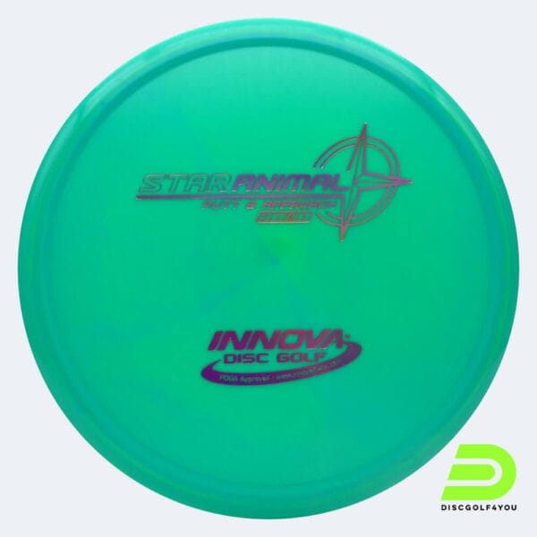 Innova Animal in turquoise, star plastic