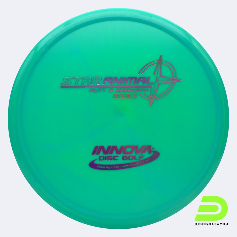 Innova Animal in turquoise, star plastic