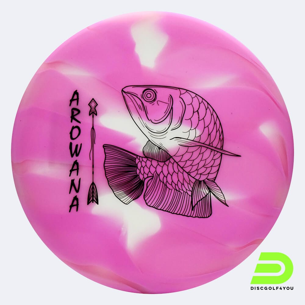 Elevation Arowana in rosa, im glO-G Kunststoff und glow/burst Spezialeffekt