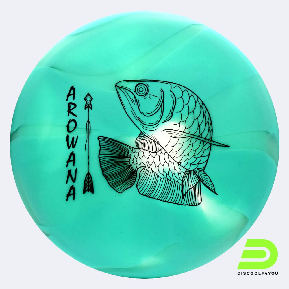 Elevation Arowana in türkis, im glO-G Kunststoff und glow/burst Spezialeffekt